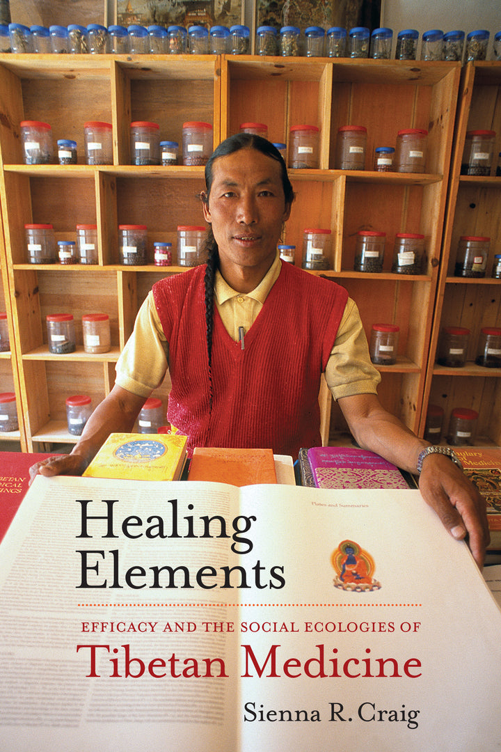 Cover image for Healing Elements ISBN 9780520273245
